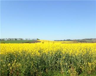 Gladman Appeal/Public Inquiry Update