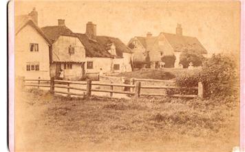 New Cabinet Card added to website