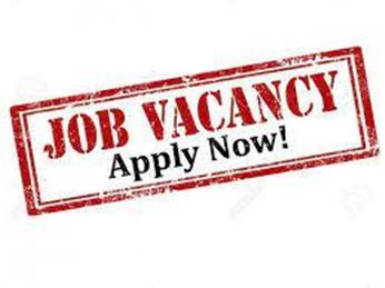 Job Vacancy