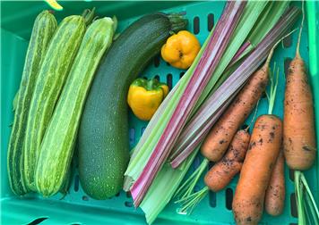 A Huge Thank You to Our Allotment Tenants and Champions