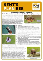 Kent Plan Bee