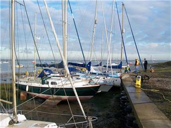 Queenborough Fishery Trust