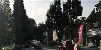 Traffic Calming: An Analysis