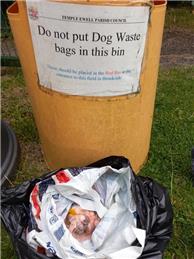 Dog Waste offending at King Georges Field