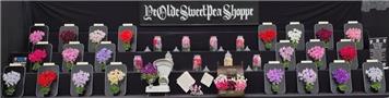 Report on  the talk “ A year in the life of a multi season showman”