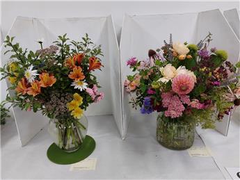 Summer Show Report and Photos 2025