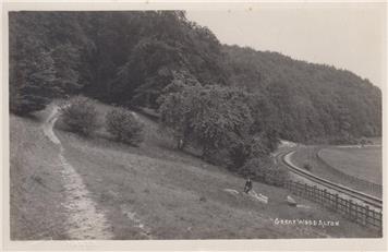New Postcard added to website