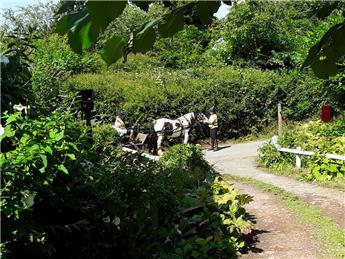 Hope Bagot to ban cars by 2020?