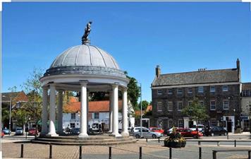 Swaffham Emergency Action Group