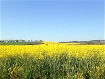 Planning Permission has now been applied for