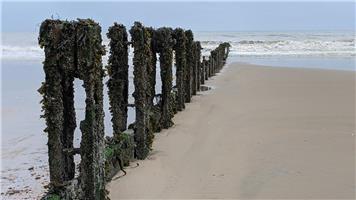 Beach Wardens Wanted — Apply by 26 June 2026