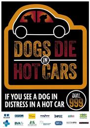 Dogs Die in Hot Cars