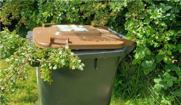 LAST COLLECTION OF GARDEN WASTE FOR 2024