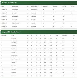 Somerset Men's county league