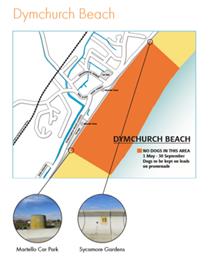 Dog-free beach measures to come into effect as usual