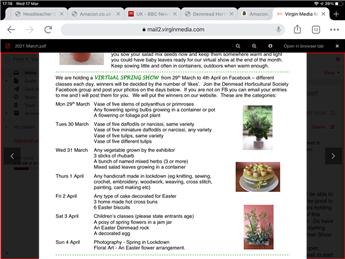 (Virtual) Spring Show 2021