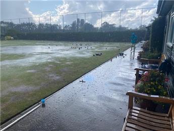 New game of Water Bowls investigated