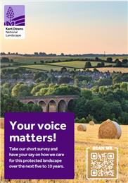 Kent Downs Survey