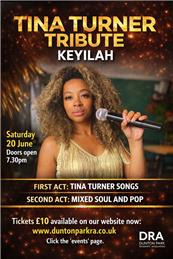 Tina Turner Tribute - Saturday 20 June