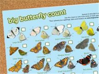 Have You Got Your Big Butterfly Count Chart?