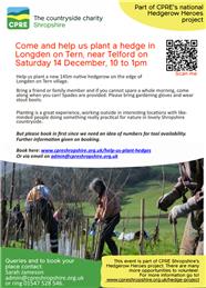 Hedge Planting Longden on Tern