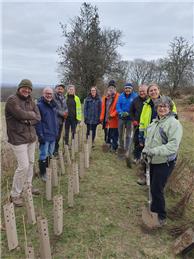 Help Grow a Native Hedgerow in Baldhorn Park