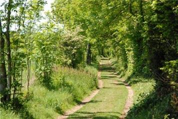 New Footpath Proposal