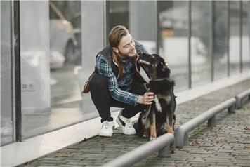 Dog Fouling on the Rise in Bearpark: Council Urges Responsible Pet Ownership