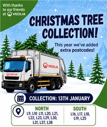 Christmas Tree Collection Service