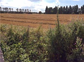 West of Town Road - Outline Application