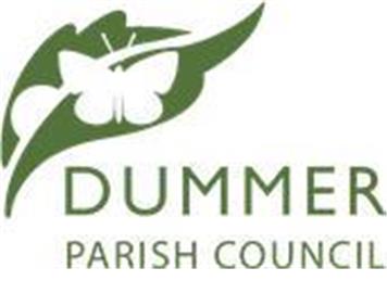 Dummer Housing Need Survey Report