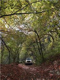 Nuisance Off-Road Vehicles - Pilgrims Way, North Downs