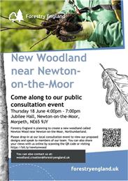 New woodland near Newton-on-the-Moor