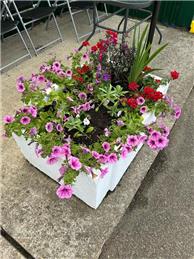 Planters looking summer ready!