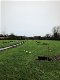 Last Few Cherry Trees Still Available!