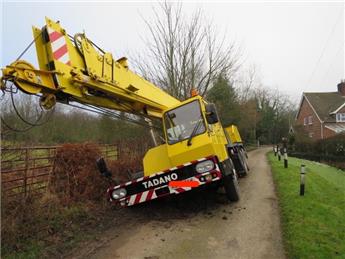 Giant Yellow Crane spotted in Hope Bagot ditch