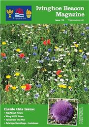 Beacon Magazine for August 2020