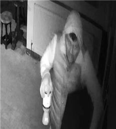 Theft From Smithy Arms