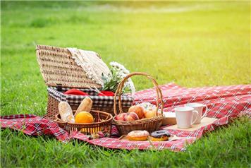 Village Picnic - Monday 19th July 2021