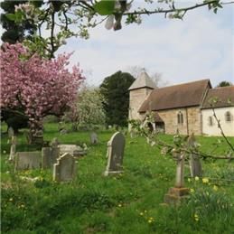 Springtime in Hope Bagot churchyard
