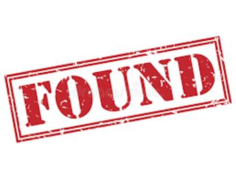 Watch found