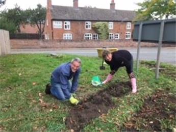 Bulb Planting around Kelham