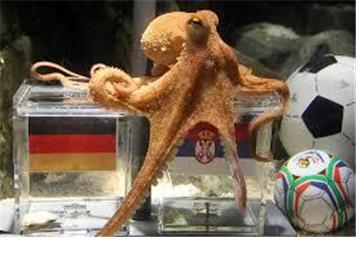 Paul the Pyschic Octopus and his Parsimonious Predictions