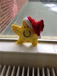 Christmas & New Year Closure