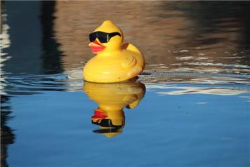 Knockin Duck race - New date 18.10.2026