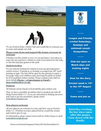 Horton Kirby Cricket Club Information