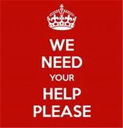 We Need Another Parish Councillor - Are you Willing  to Help?