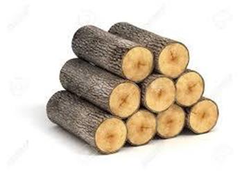 Logs available