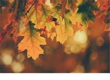 Save these Autumn Dates!