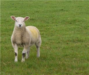 Grantley and Sawley Parish Council